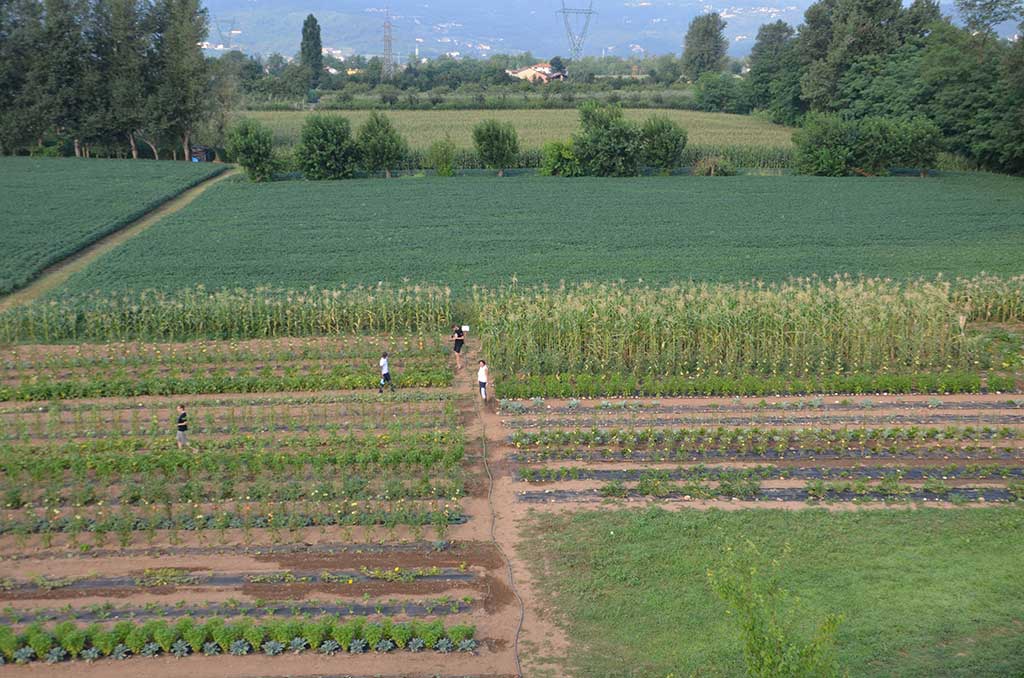 2015 - L'orto aziendale